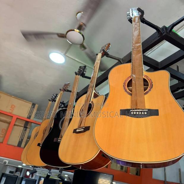 Gipson Semi Acoustic Guitar