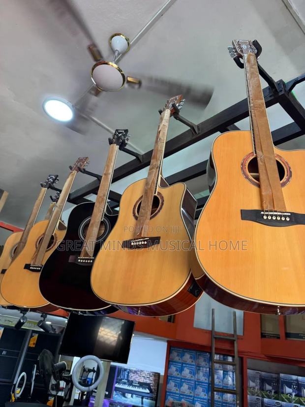 Gipson Semi Acoustic Guitar · Photo 2