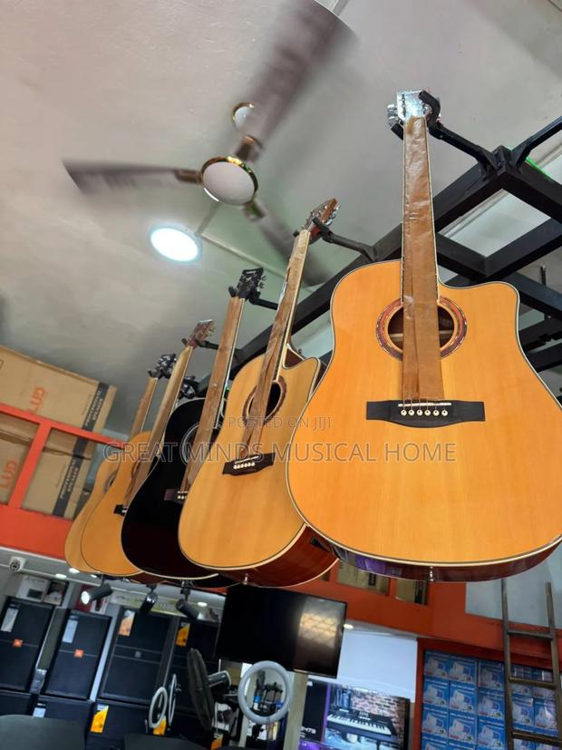 Gipson Semi Acoustic Guitar · Photo 3