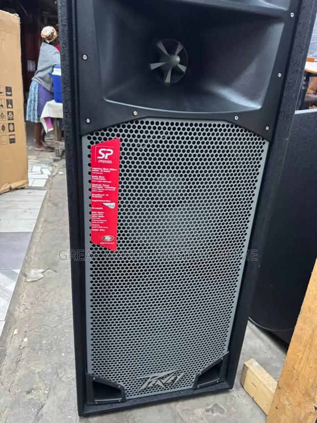 Peavey Spider Full Range Speakers · Photo 1