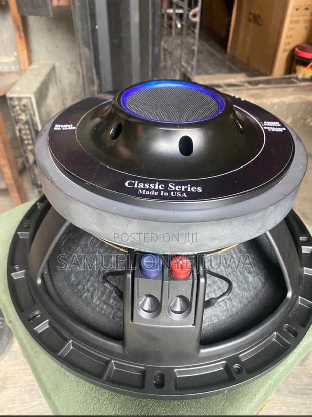 12 Inches Double Magnet Speaker · Photo 1