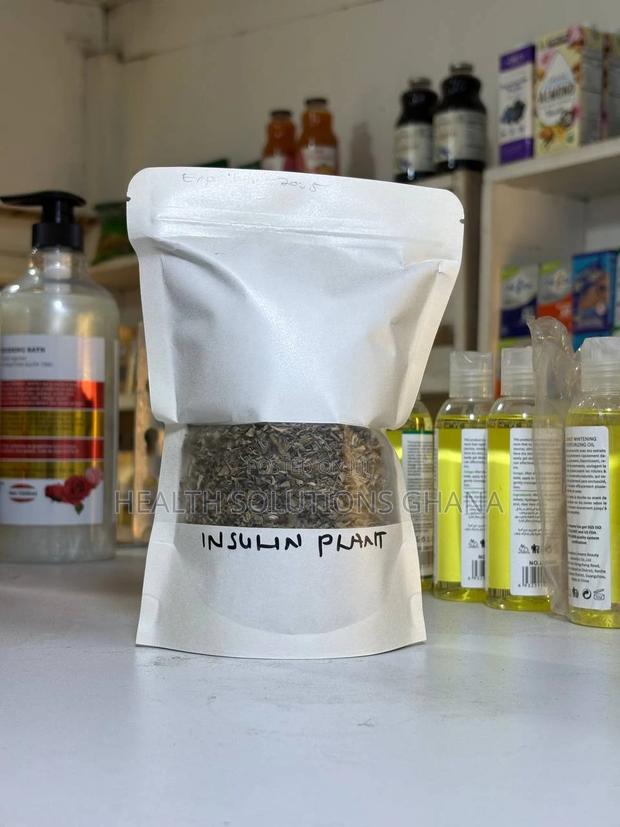 Insulin Plant · Photo 1