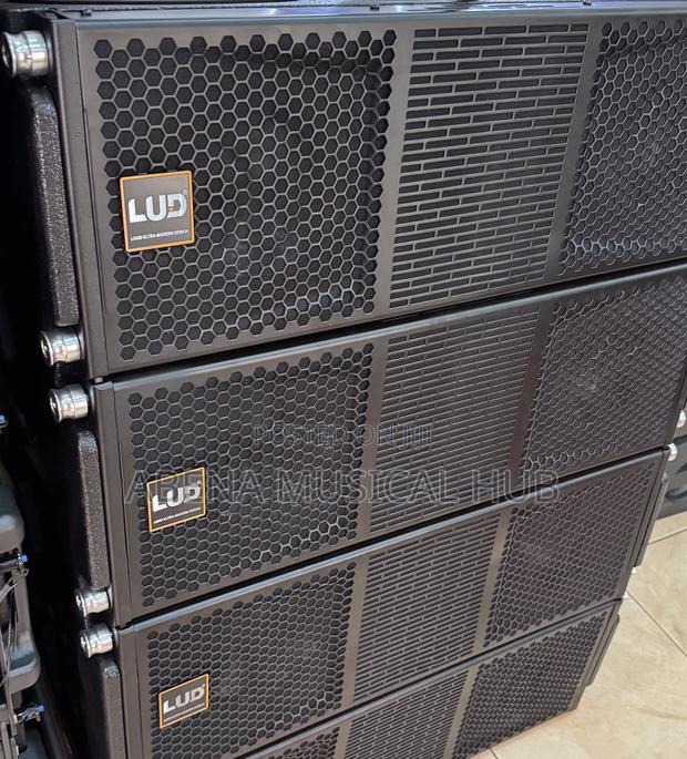 Lud Arrays Speakers (12 Inches) · Photo 4
