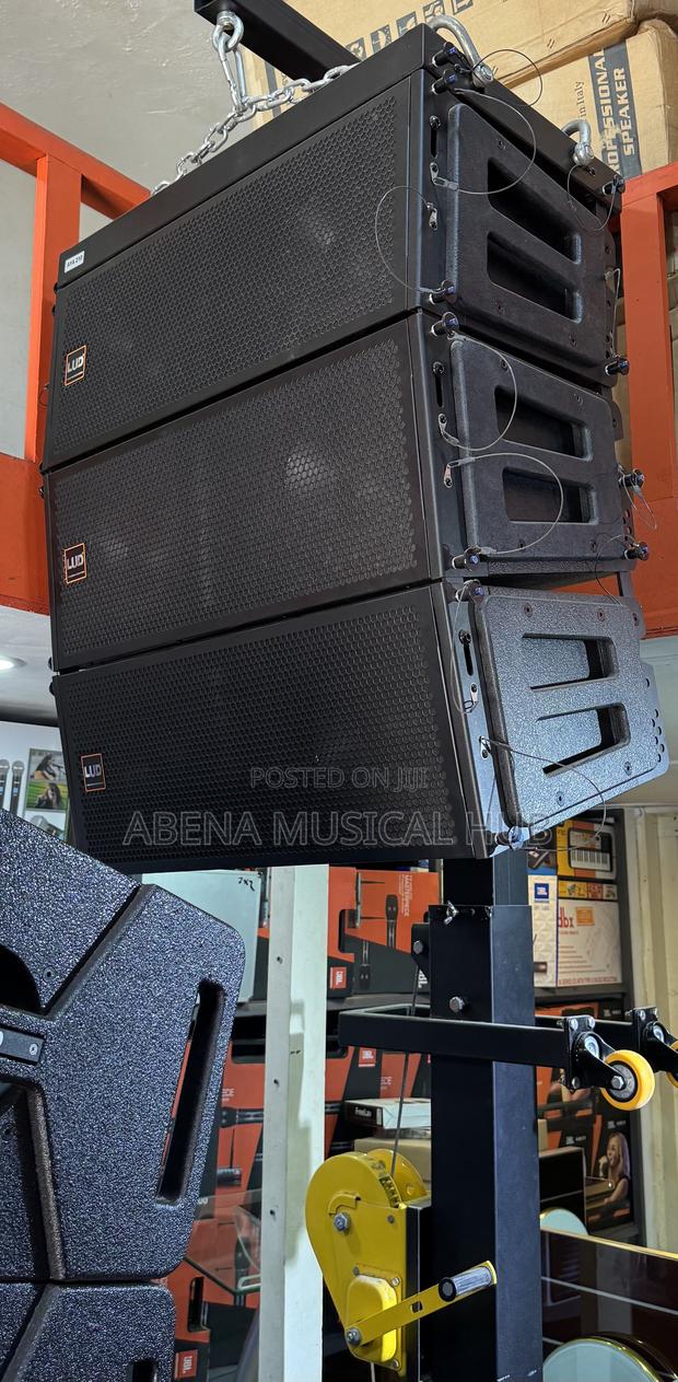Lud Arrays Speakers (12 Inches) · Photo 2