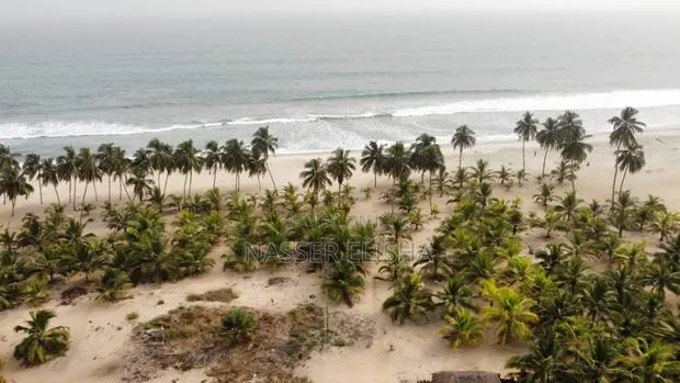 Beachfront for Sale · Photo 1
