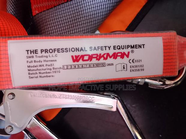 Safety Full Body Harness With Double Lanyards(Workman). · Photo 5