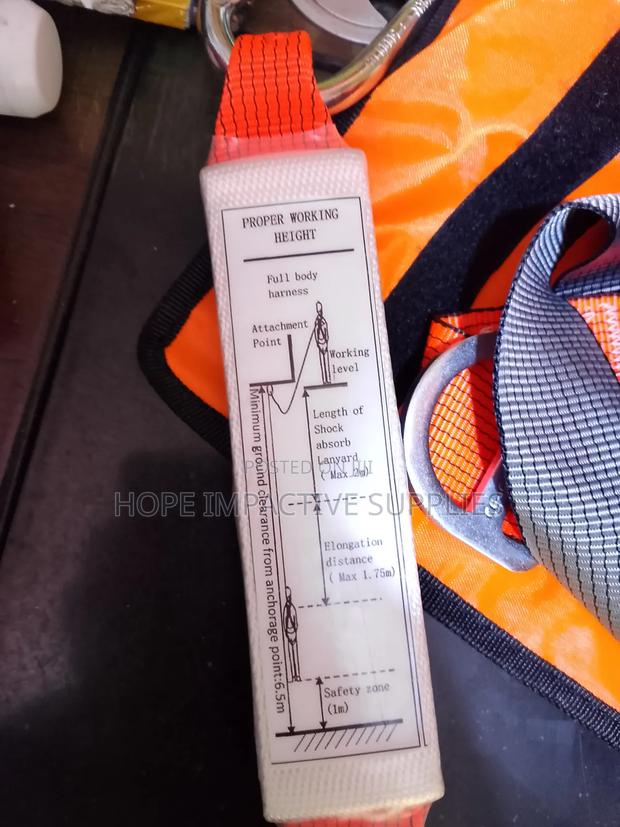 Safety Full Body Harness With Double Lanyards(Workman). · Photo 2