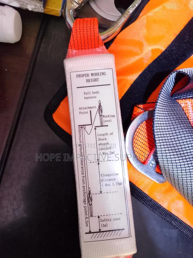 Safety Full Body Harness With Double Lanyards(Workman). · Photo 6