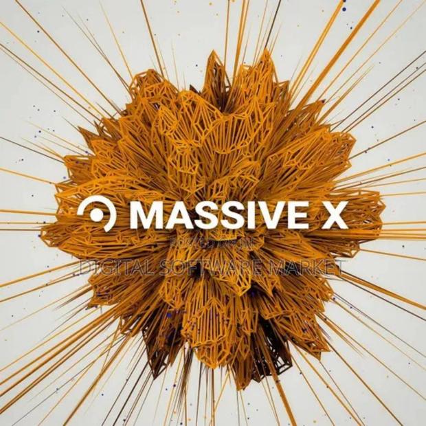 Native Instruments Massive X V1.6.0 Win · Photo 3