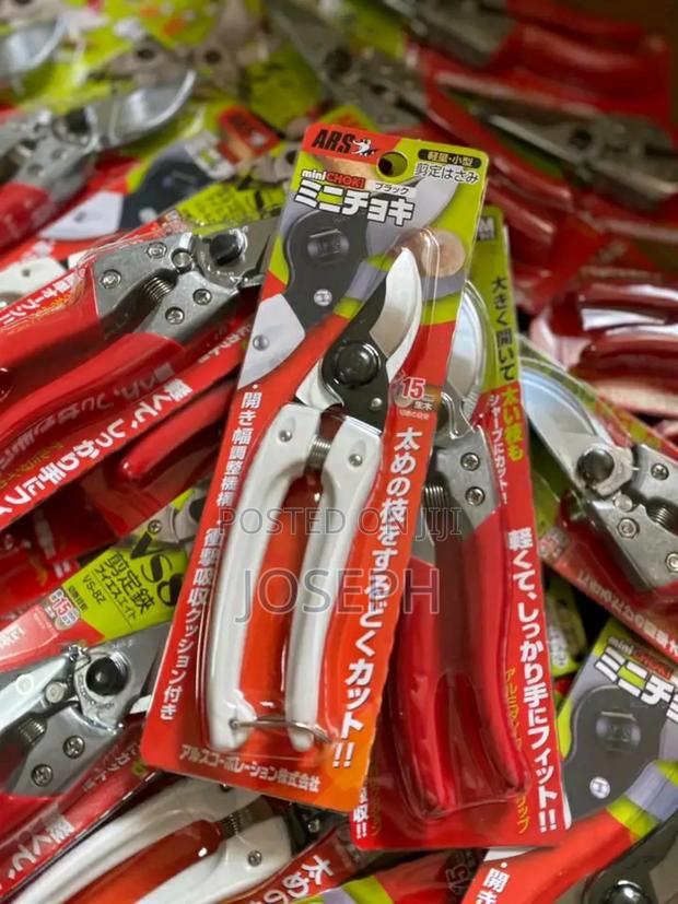 Prune Tools/ Pruning · Photo 1