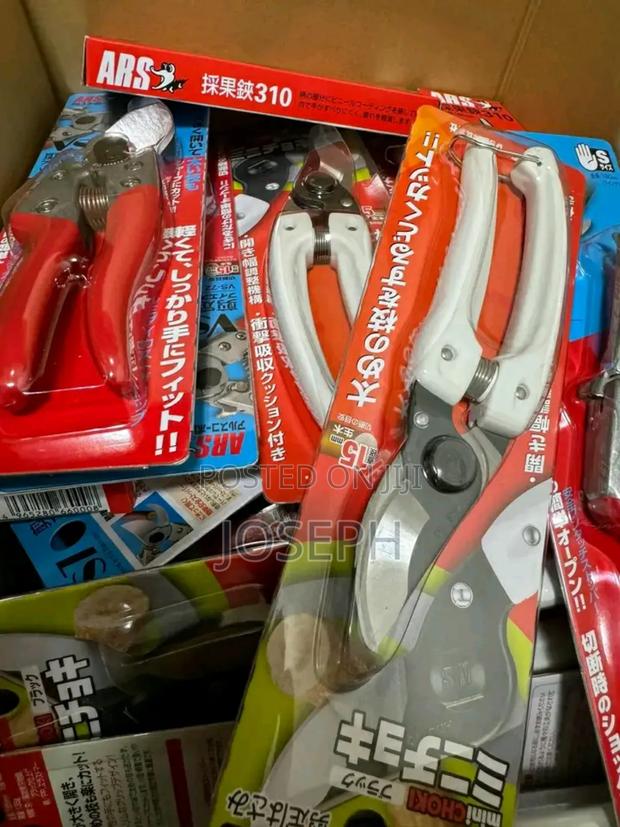 Prune Tools/ Pruning · Photo 2