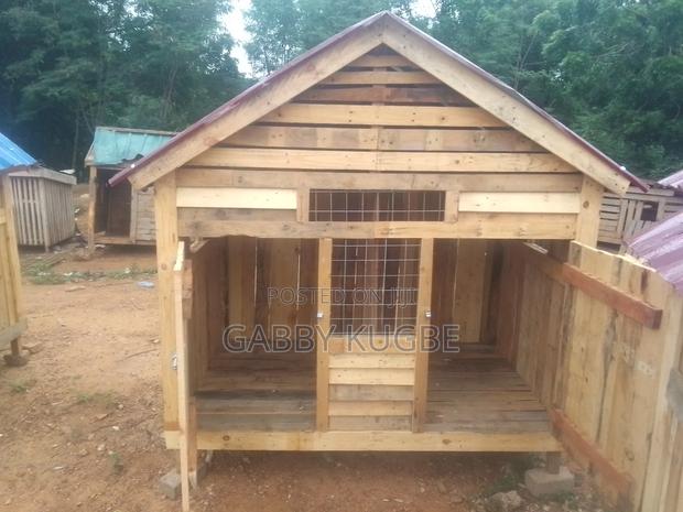 Dogs Cages · Photo 1