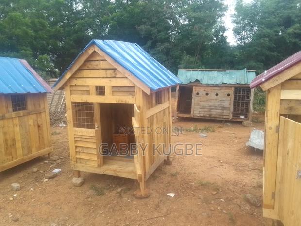 Dogs Cages · Photo 2