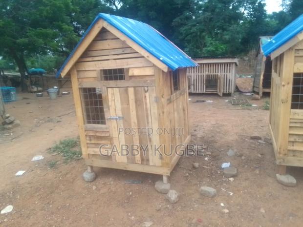 Dogs Cages · Photo 4