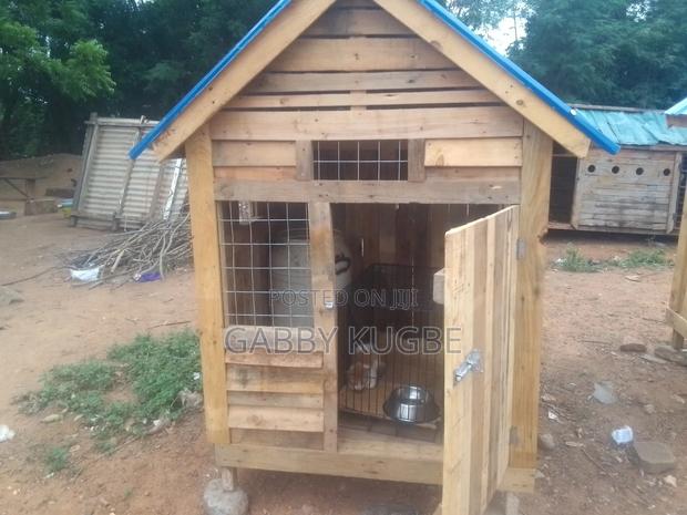 Dogs Cages · Photo 5