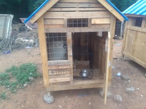 Dogs Cages · Photo 6