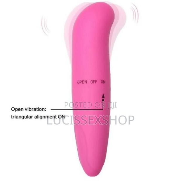 G Spot Dolphin Vibrator · Photo 2