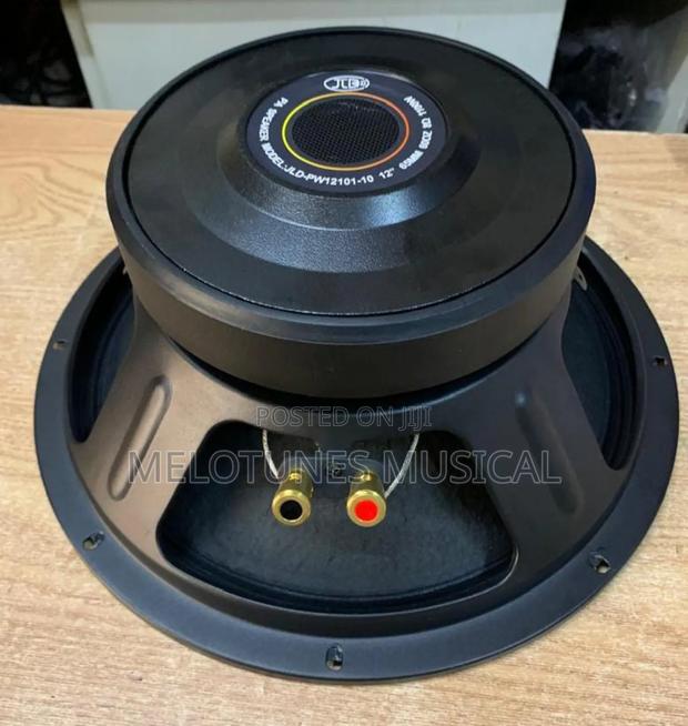JLD-Pw12101-10 12inches 1100watt 12inches Naked Speakers · Photo 2