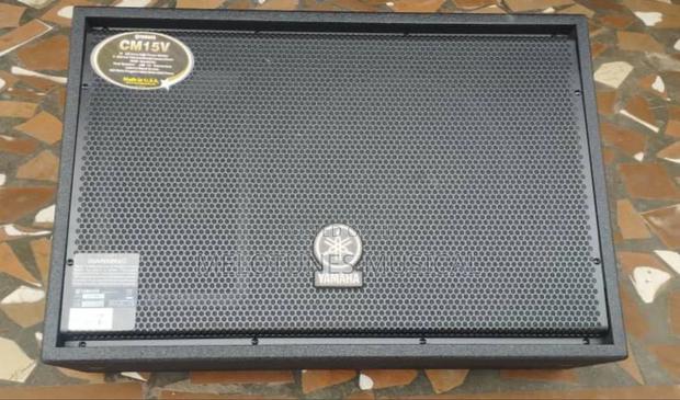 Yamaha Cm15v 15inches Stage Monitors · Photo 2