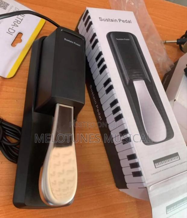 Professional Sustain Pedal · Photo 1