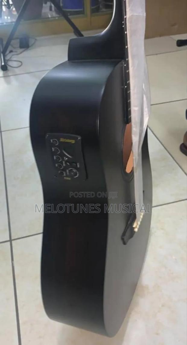 Stringberg Semi-Acoustic Guitar · Photo 2