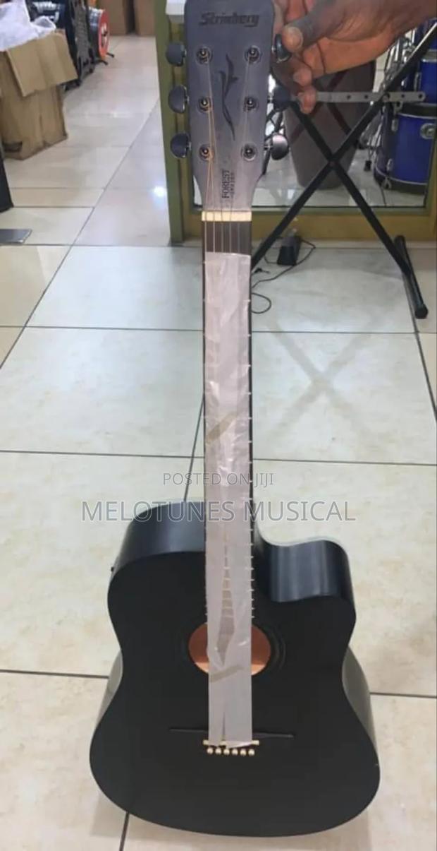 Stringberg Semi-Acoustic Guitar · Photo 1