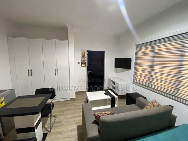 1 Bedroom Studio Apartment at East Legon · Photo 4