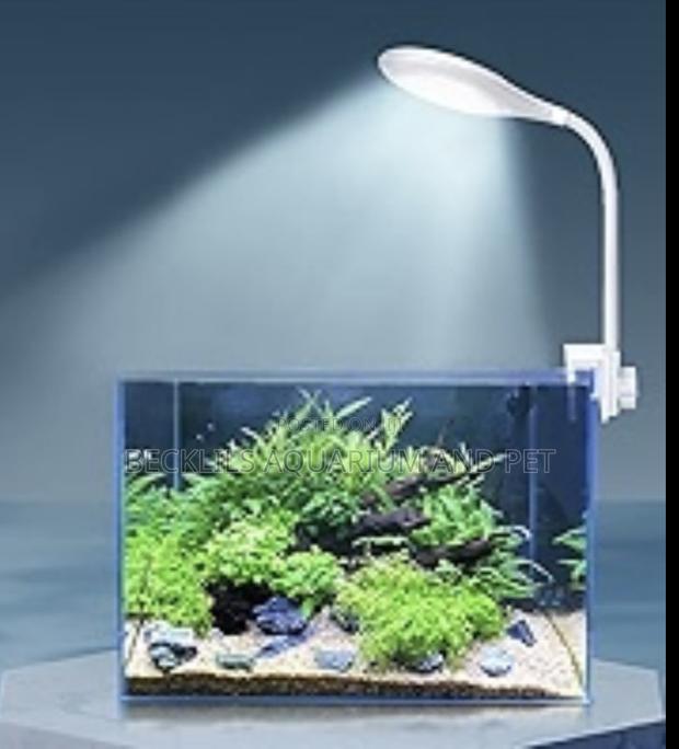 Aqurium Light ( Table Top) · Photo 2