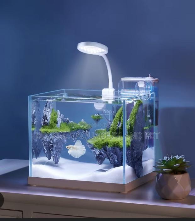Aqurium Light ( Table Top) · Photo 1