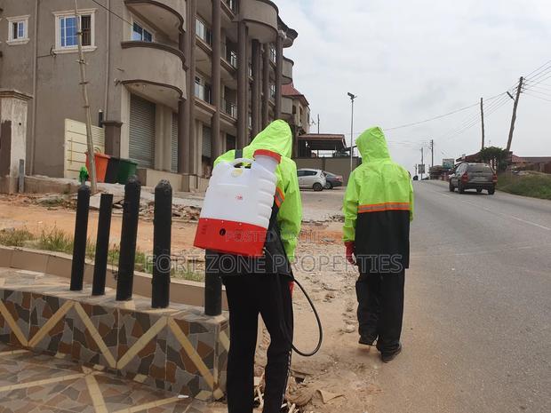 Gyinyase Fumigation With Cleantex · Photo 2
