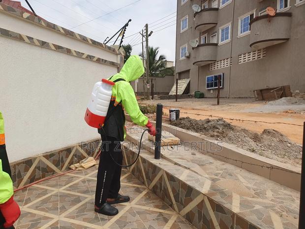 Gyinyase Fumigation With Cleantex · Photo 3
