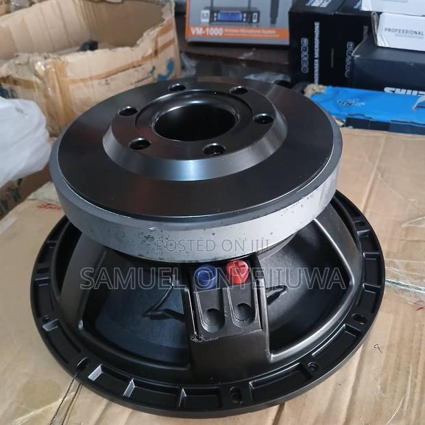 12 Inches Double Magnet Speaker · Photo 2