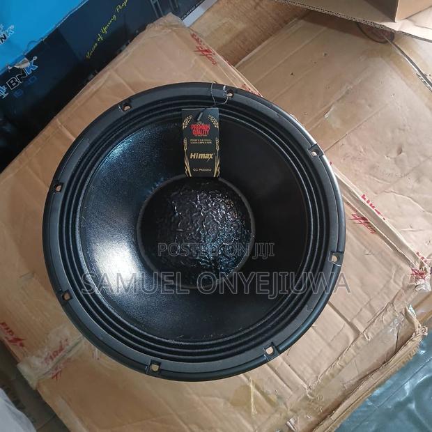 12 Inches Double Magnet Speaker · Photo 4
