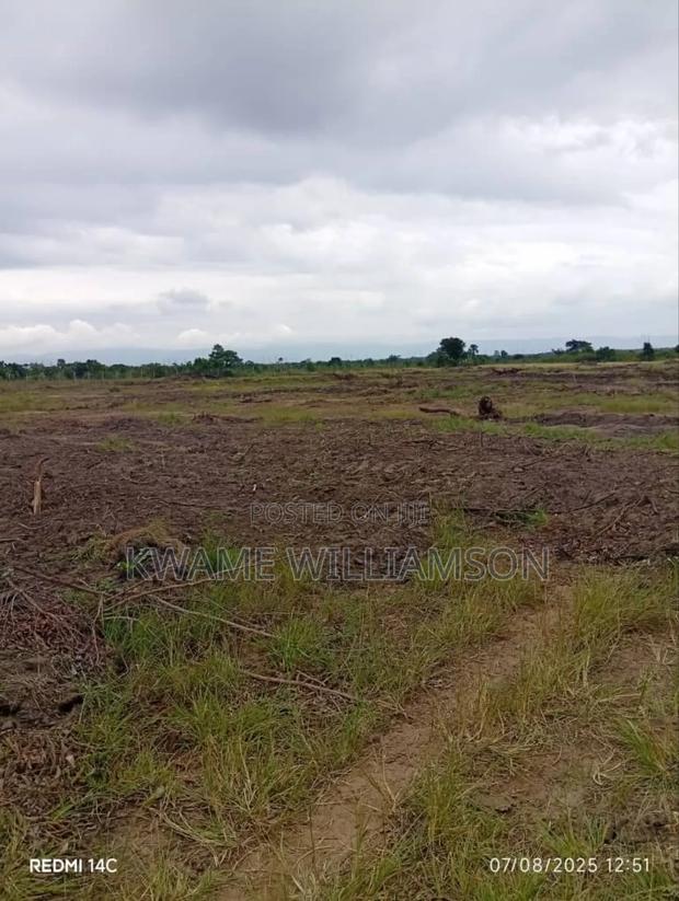 Plot of Land at Asutsuare (Mahama Junction) · Photo 1