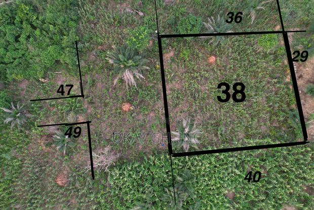 Prime Land for Sale in Apromase, Ashanti Region · Photo 5