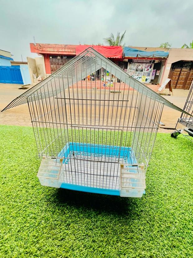 House Like Parrot Cage · Photo 2
