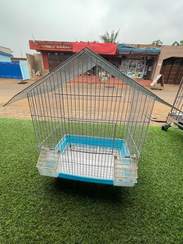 House Like Parrot Cage · Photo 4