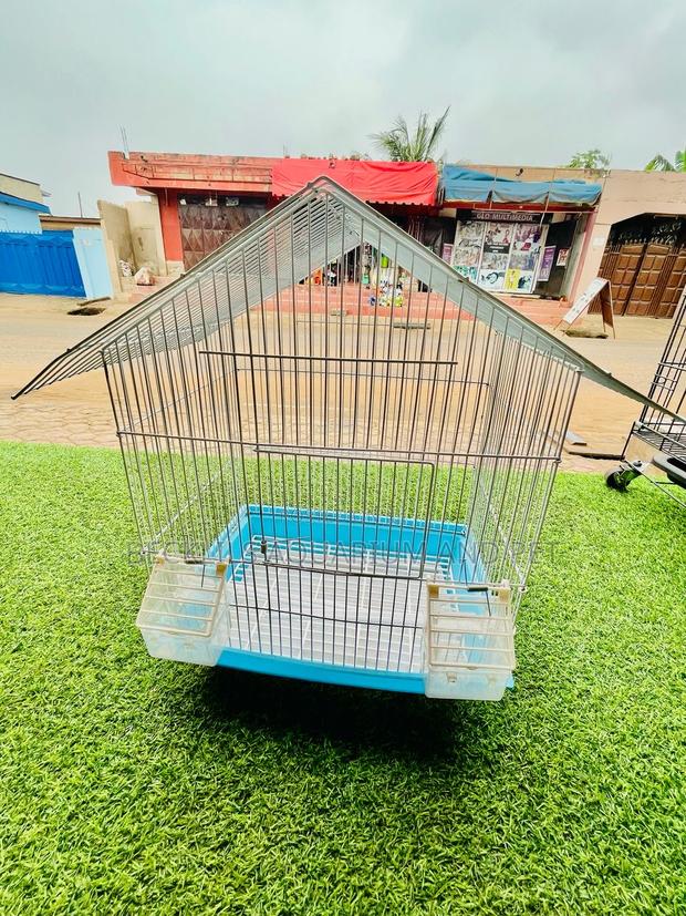 House Like Parrot Cage · Photo 1