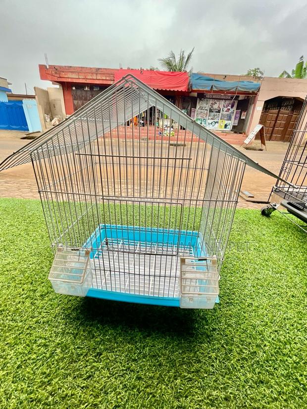 House Like Parrot Cage · Photo 3