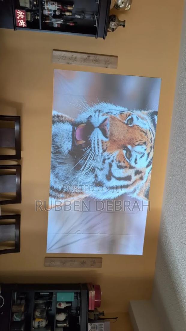 Projector Cloth Screen · Photo 3