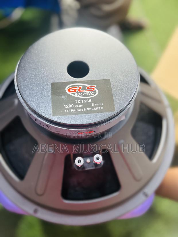 GLS Naked Speaker (Big Magnet) Single Magnet 15inches · Photo 1