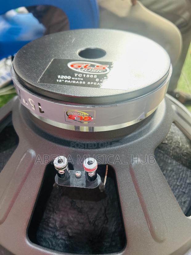 GLS Naked Speaker (Big Magnet) Single Magnet 15inches · Photo 2