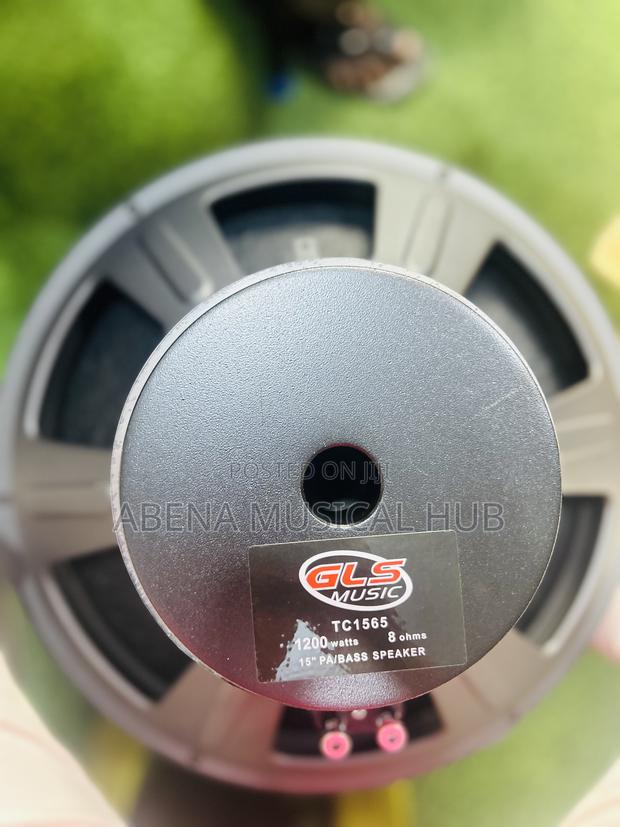 GLS Naked Speaker (Big Magnet) Single Magnet 15inches · Photo 3