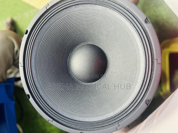 GLS Naked Speaker (Big Magnet) Single Magnet 15inches · Photo 4