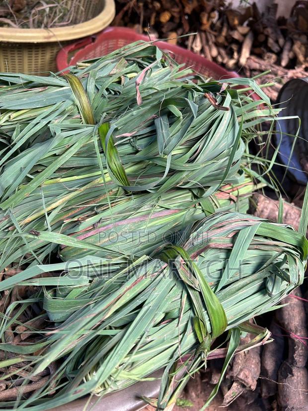 Fresh Lemongrass Leaves · Photo 1