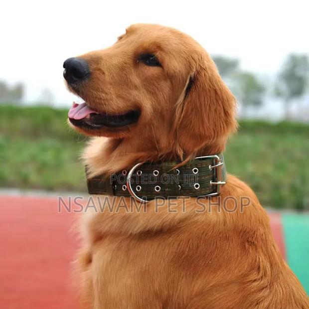 Nylon Collar