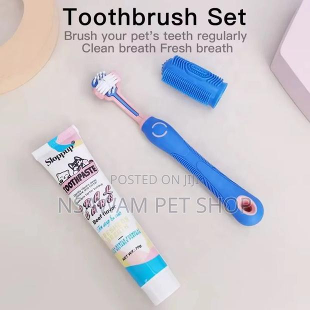 Dog Tooth Brush