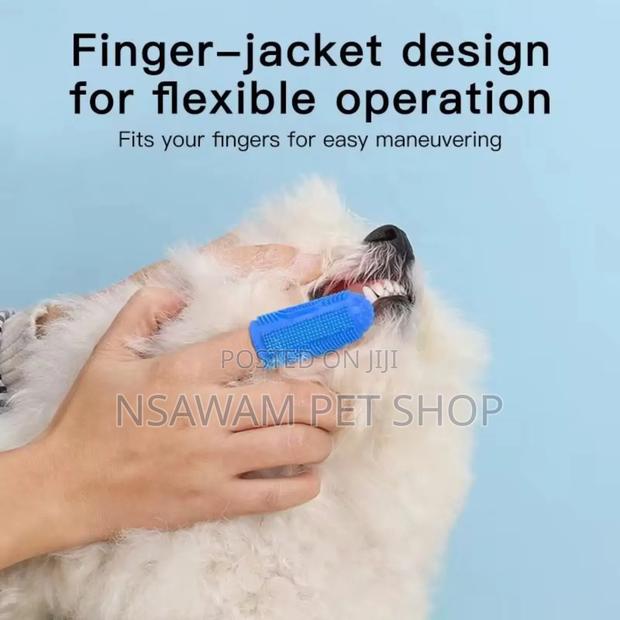 Dog Tooth Brush · Photo 2