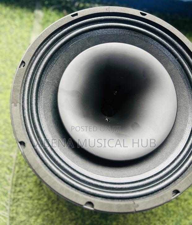 Kozer Naked Speaker · Photo 5