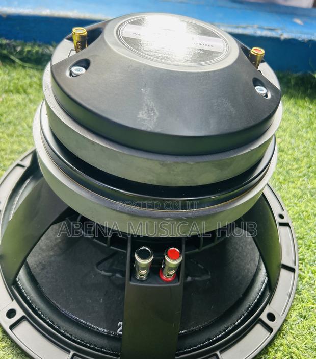 Kozer Naked Speaker · Photo 3